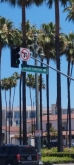 VIAGGIO STUDI NEGLI STATI UNITI – LOS ANGELES, LAS VEGAS E GRAND CANYON