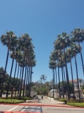 VIAGGIO STUDI NEGLI STATI UNITI – LOS ANGELES, LAS VEGAS E GRAND CANYON