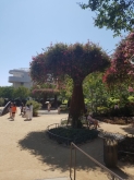 VIAGGIO STUDI NEGLI STATI UNITI – LOS ANGELES, LAS VEGAS E GRAND CANYON