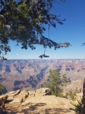 VIAGGIO STUDI NEGLI STATI UNITI – LOS ANGELES, LAS VEGAS E GRAND CANYON