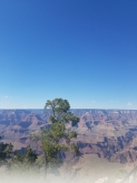 VIAGGIO STUDI NEGLI STATI UNITI – LOS ANGELES, LAS VEGAS E GRAND CANYON