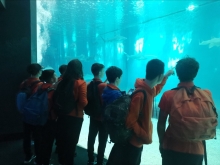 USCITA DIDATTICA A GENOVA – VISITA DELL’ACQUARIO