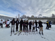 PROGETTO FREUD SULLA NEVE