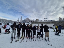 PROGETTO FREUD SULLA NEVE