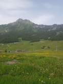 PROGETTO SPORT NATURA E BENESSERE IN MONTAGNA - Torgnon 2023 (AO)