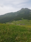 PROGETTO SPORT NATURA E BENESSERE IN MONTAGNA - Torgnon 2023 (AO)