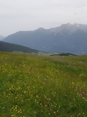 PROGETTO SPORT NATURA E BENESSERE IN MONTAGNA - Torgnon 2023 (AO)