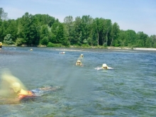 USCITA DIDATTICA: RAFTING NEL PARCO DEL TICINO E VISITA VIGEVANO (Classi 2^)