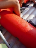 USCITA DIDATTICA - RAFTING NEL PARCO DEL TICINO E VISITA A VIGEVANO