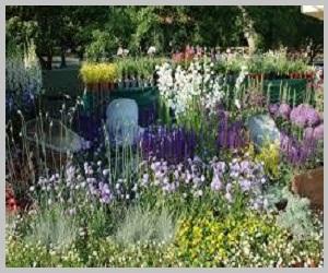 “Botanica nel Parco” – per studenti classi I A e II A – Scuola Privata Tecnica “S. Freud”